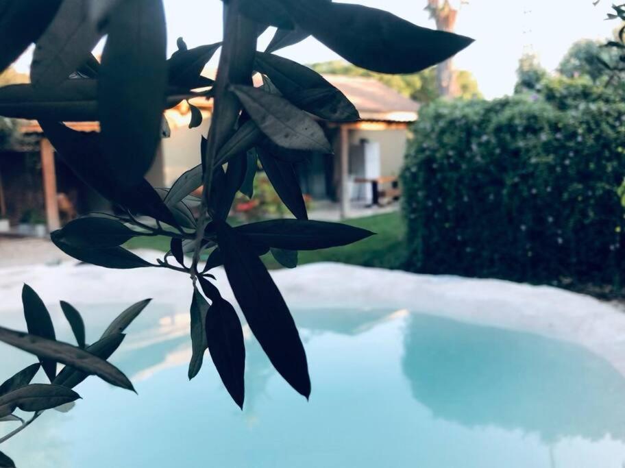 משק נוי photo 4