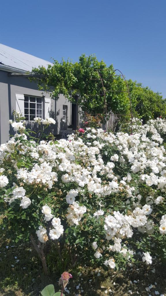 Riverside Cottage photo 1