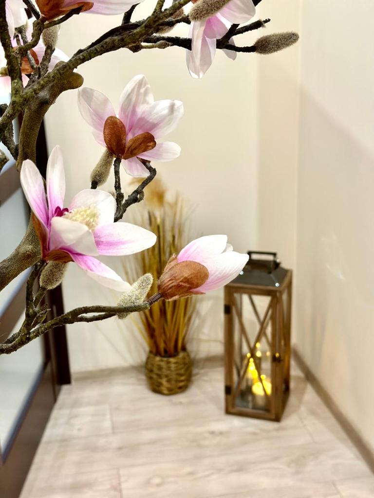 Apartament "Marka" photo 2