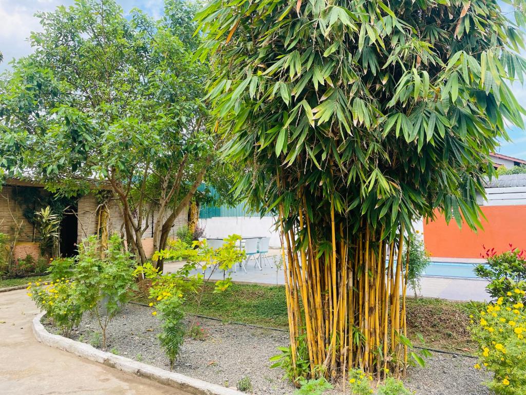 Aradhana Airport Transit hotel photo 2