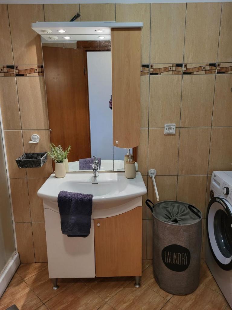 Apartma DOLORES photo 3