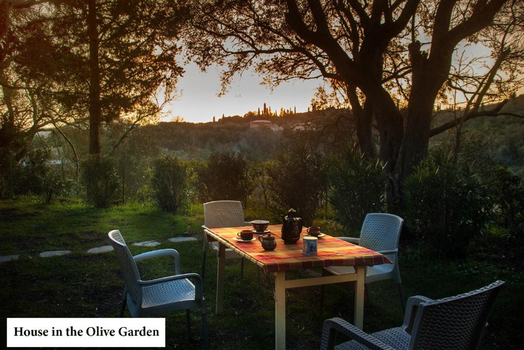 House in the Olive Garden photo 3