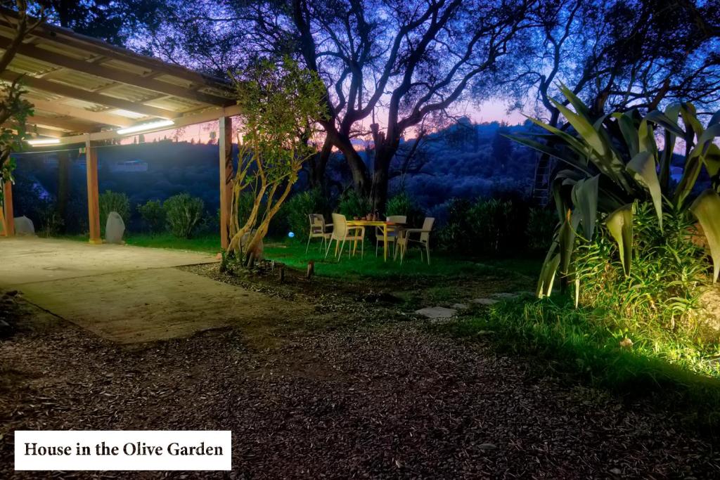 House in the Olive Garden photo 4