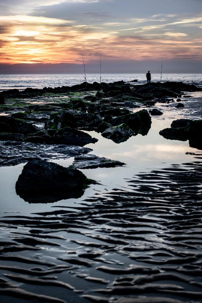 les Cabanes d'Ostende photo 2