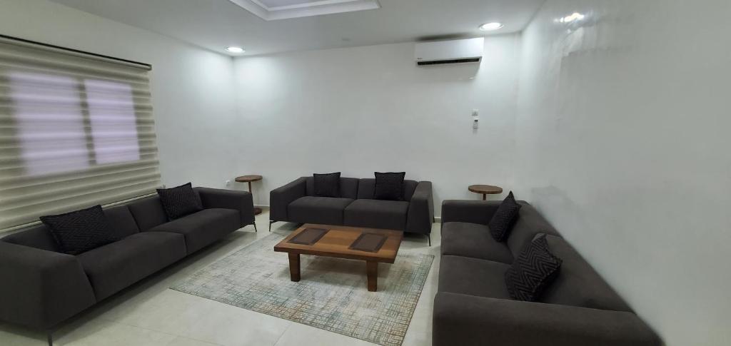 Hotel Free Zone photo 2