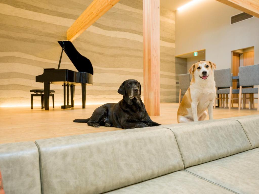 Rakuten STAY VILLA Kamogawa Building A with Pool and Terrace and sauna Capacity of 12 persons Pets allowed