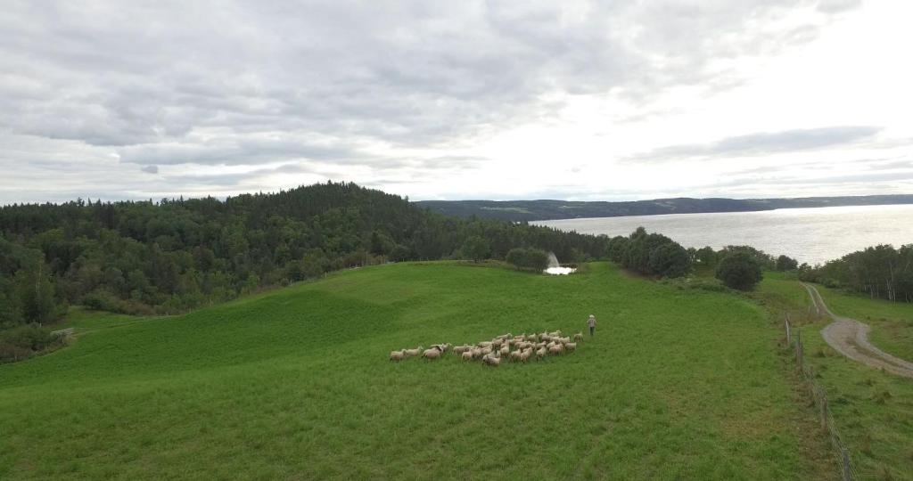 La vieille ferme, Écogîte photo 1