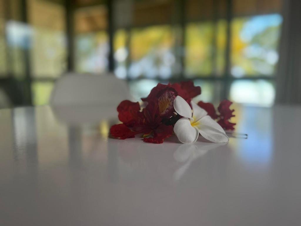 Paparei Beachfront Bungalows, Aitutaki photo 4
