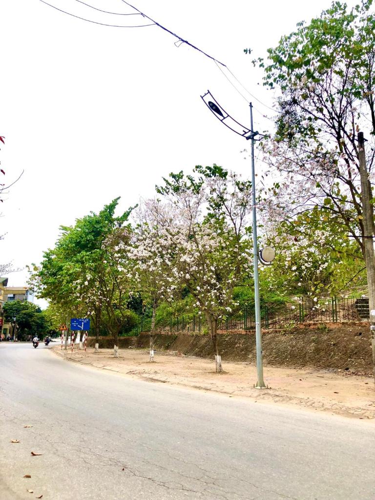 Nhà nghỉ Tâm Cường