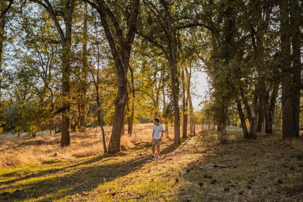 Lovers nest by Casa Oso with private hiking trails and pond photo 3