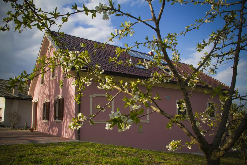 Merkež Guest House photo 2