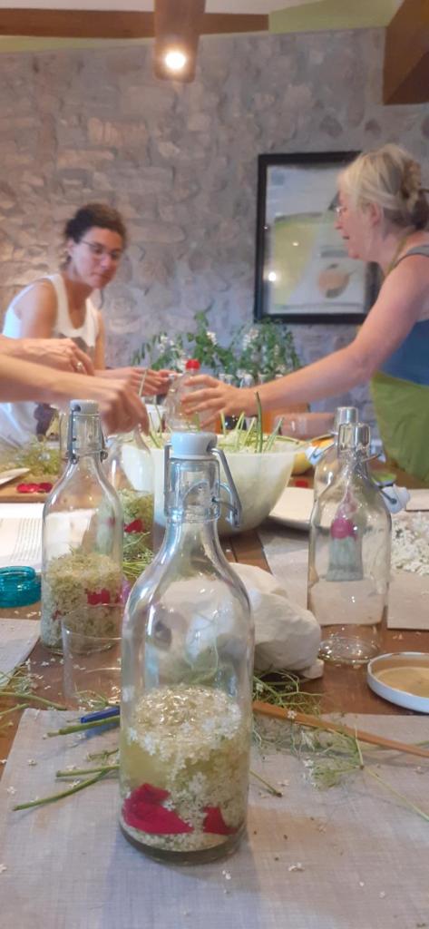 Agroturismo Mas Vilar, feel at home photo 1