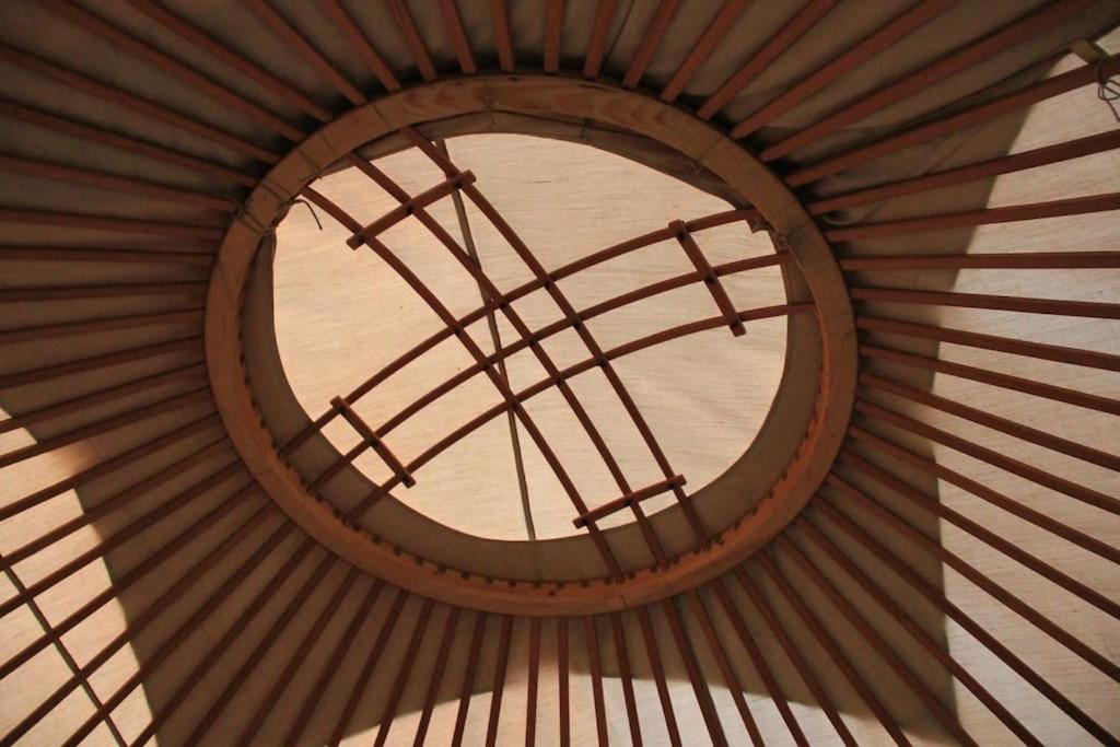 Nomadic Life in a yurt photo 3