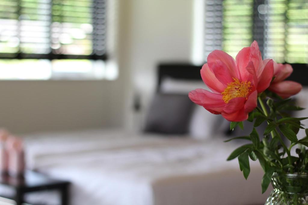 Bed & Breakfast Bij de Wilg photo 1