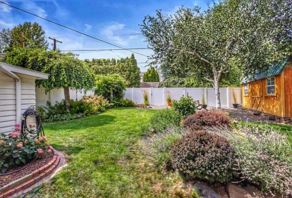 Centrally located, family and furry friendly fun! photo 2