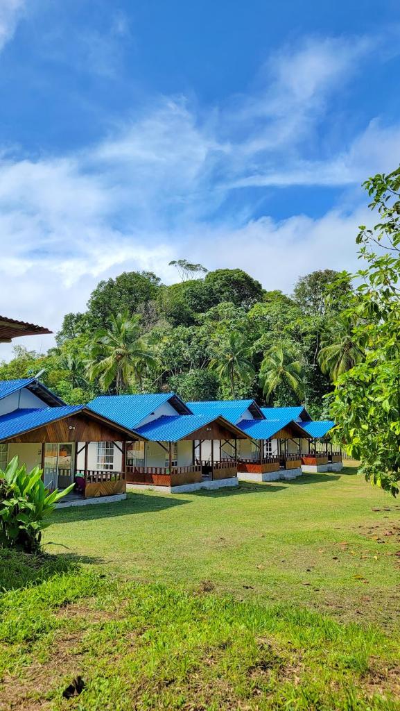 Coco Loco Lodge photo 1