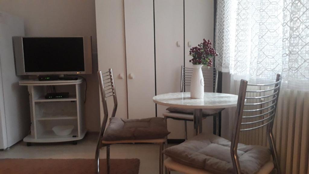 Studio apartment Vrbas photo 2