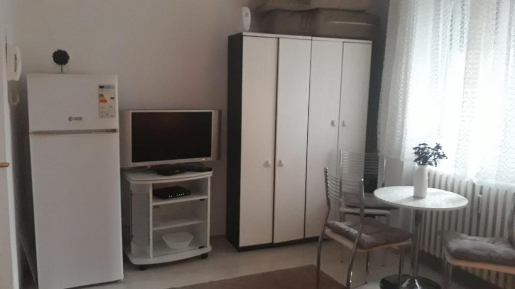 Studio apartment Vrbas photo 4