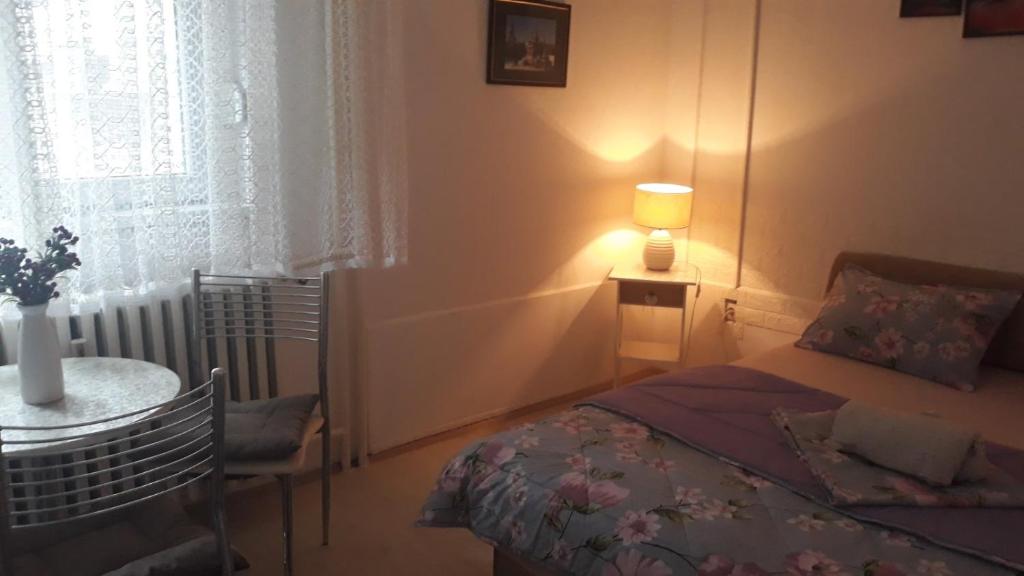 Studio apartment Vrbas photo 1