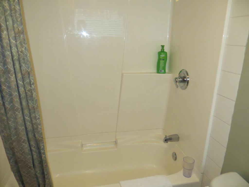 Caruso's Accommodation photo 4