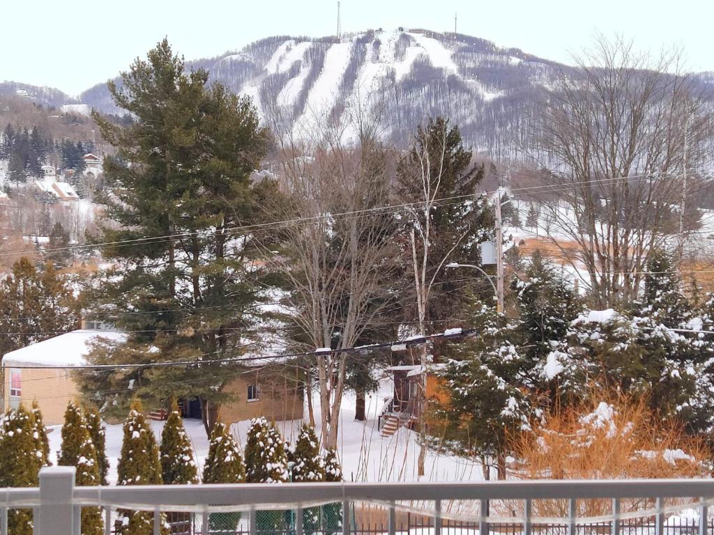 Le 201 Champlain Bromont photo 3