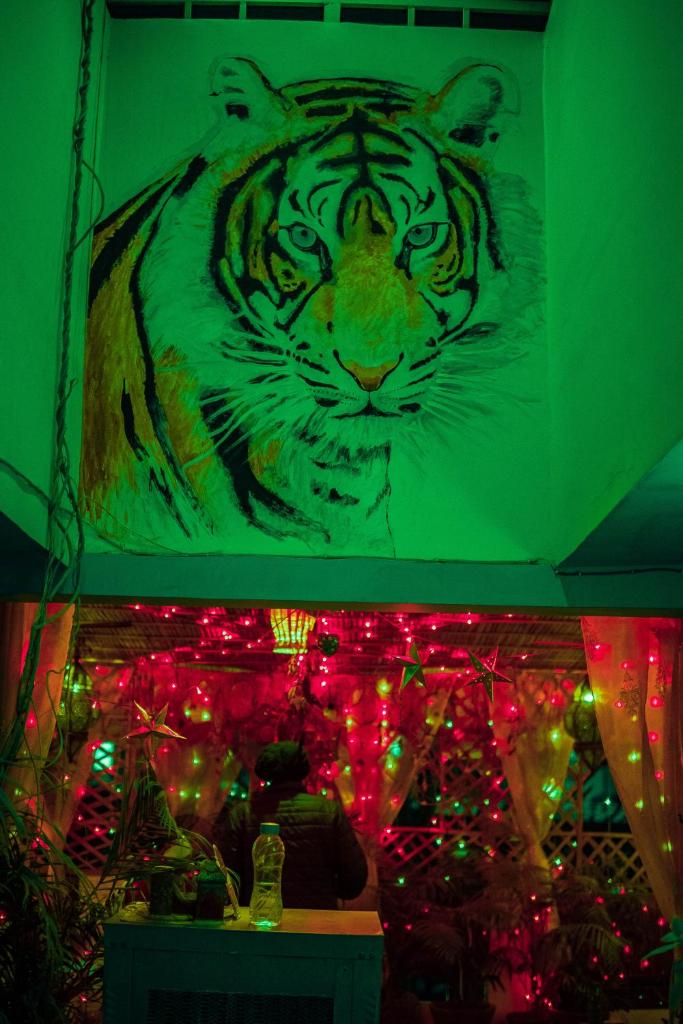 Pachamama Hostel photo 4