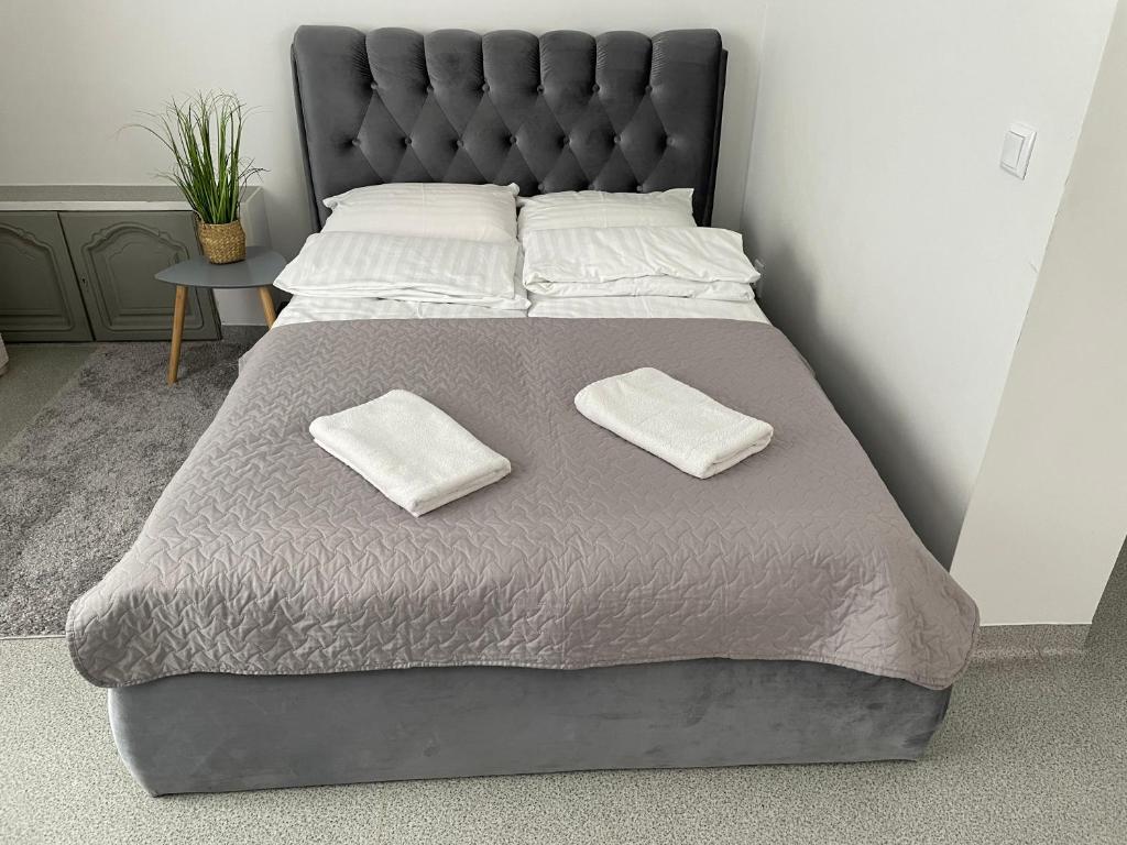 Apartamentai Rokiškio Senamiestyje photo 1