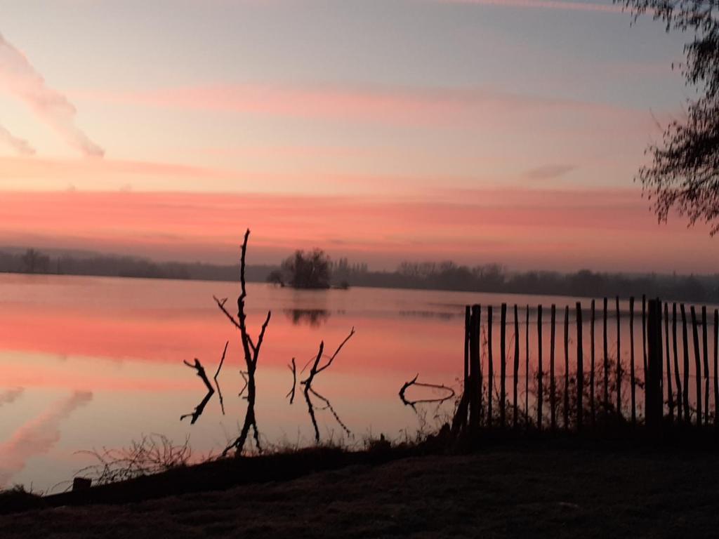 Au Bord de L'Eau photo 2