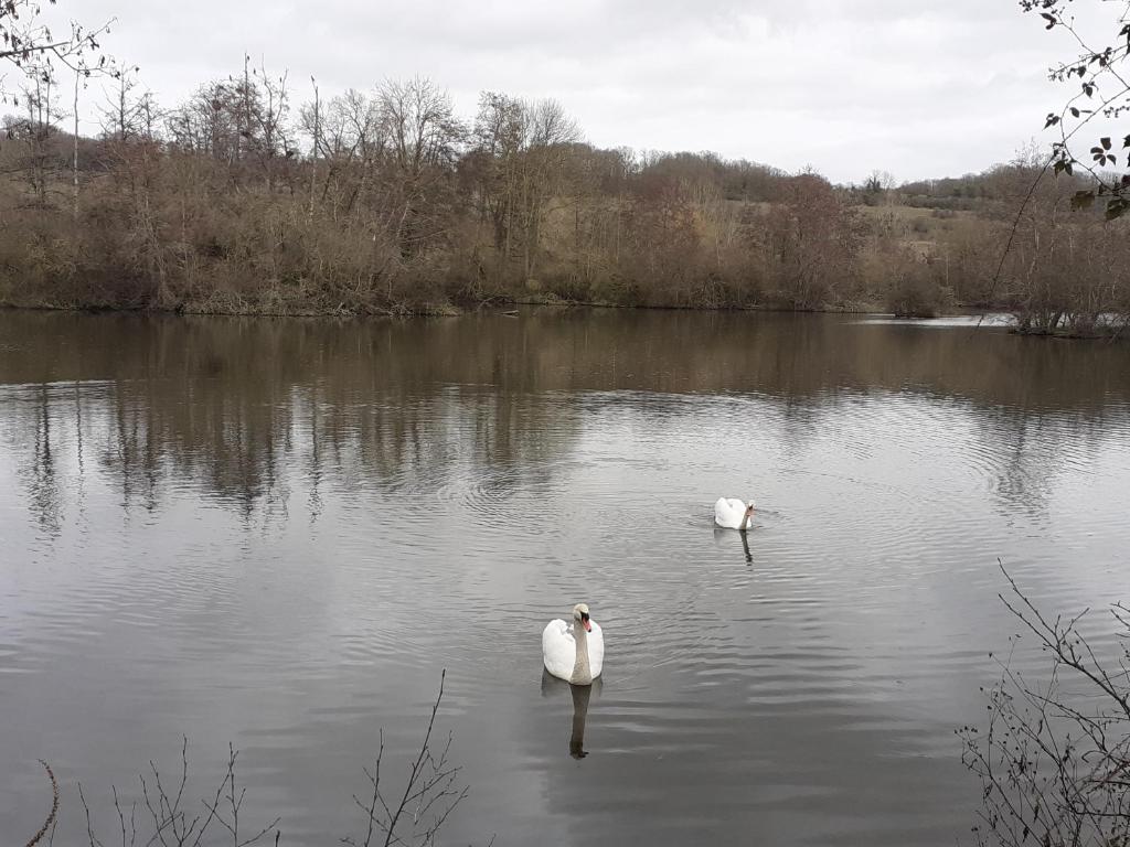 Au Bord de L'Eau photo 4