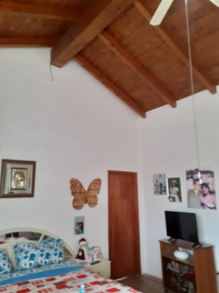 Casa mary