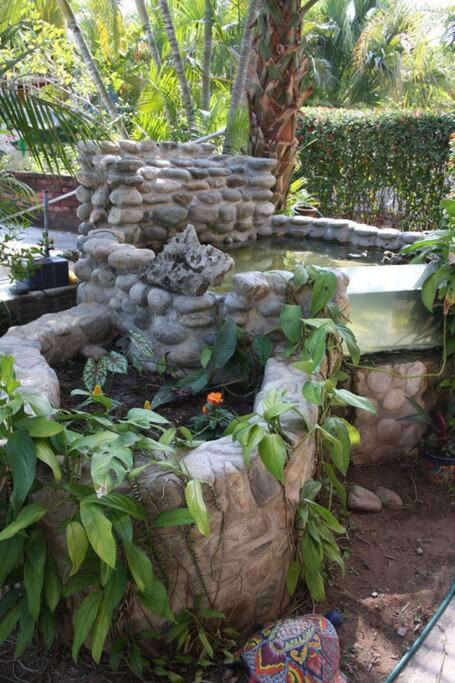 Lush Garden House near beaches with private pool. photo 3