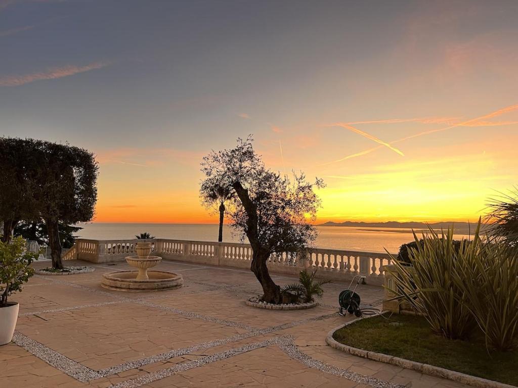 Luxury Villa at Mont Boron, swimming pool overviewing the bay photo 3