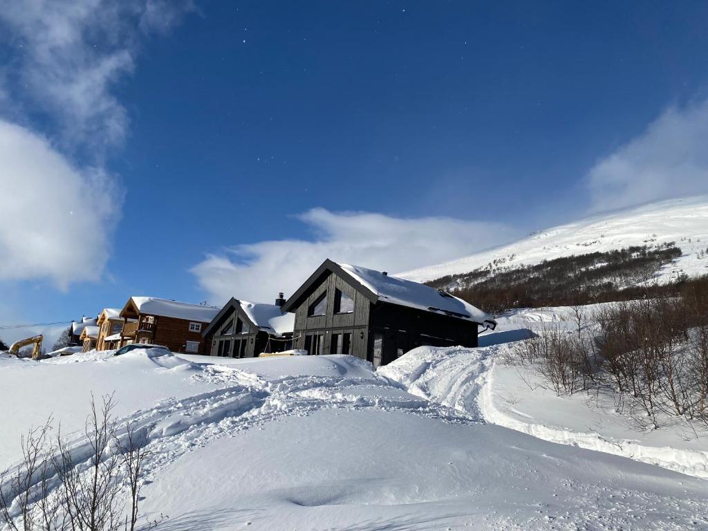 Vangslia, Oppdal. Lekker leilighet med ski inn/ski ut photo 1