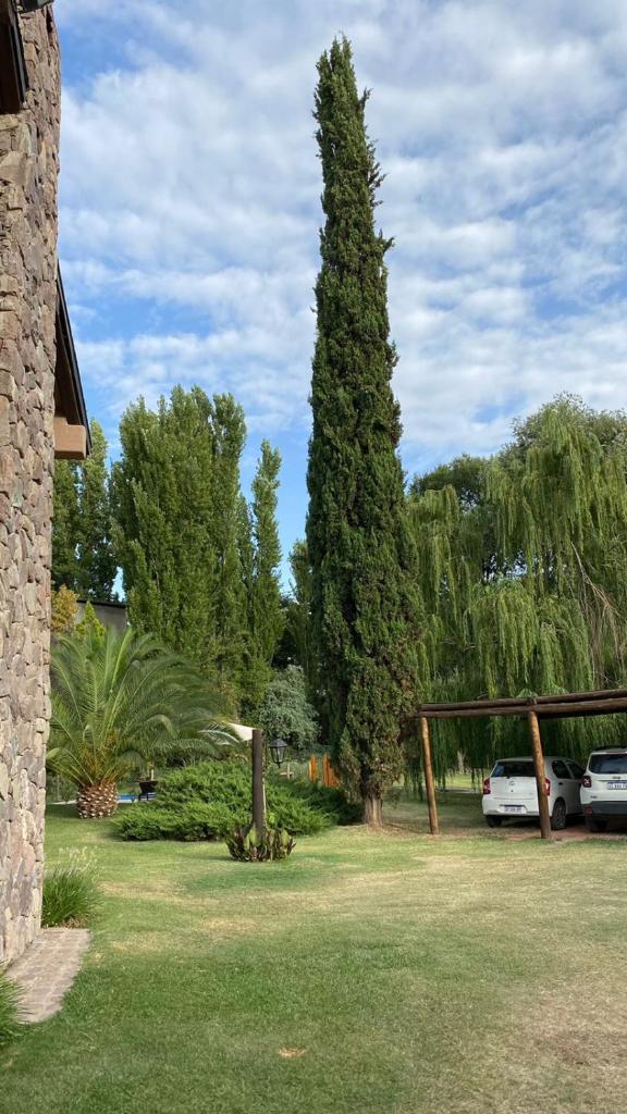 Alto Chacras Cottage photo 2