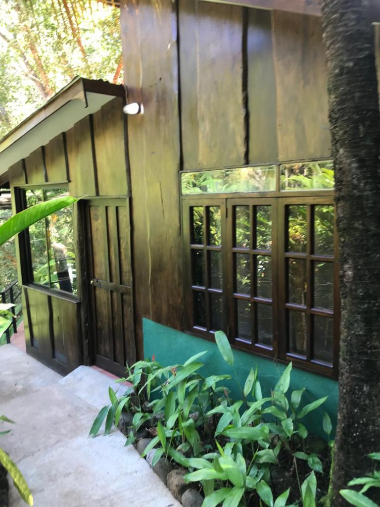 FLOR DE PARAISO BUNGALOWS photo 3