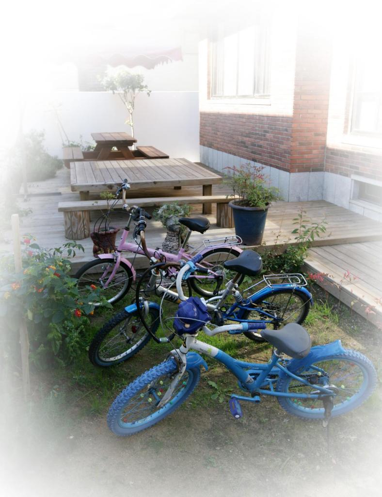 Green Guesthouse photo 3