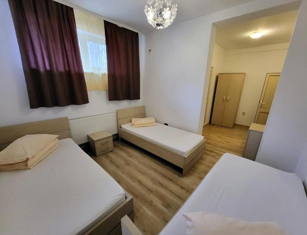 Cabana Stejarul photo 4