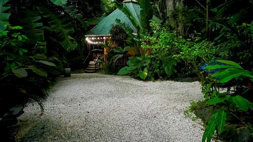 Pochote House photo 4