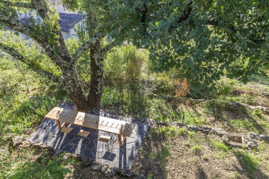 La Maison des Chataigniers photo 4