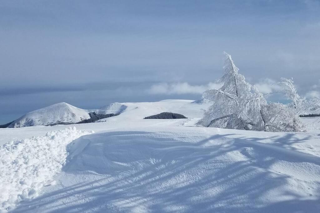 le VULCAN *** 65 m2 vue sur le PUY de DÔME photo 1
