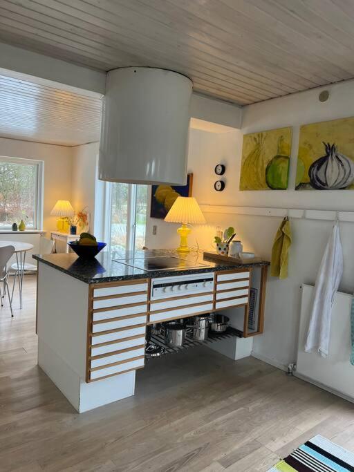 Skønt hus på landet tæt på Billund photo 1
