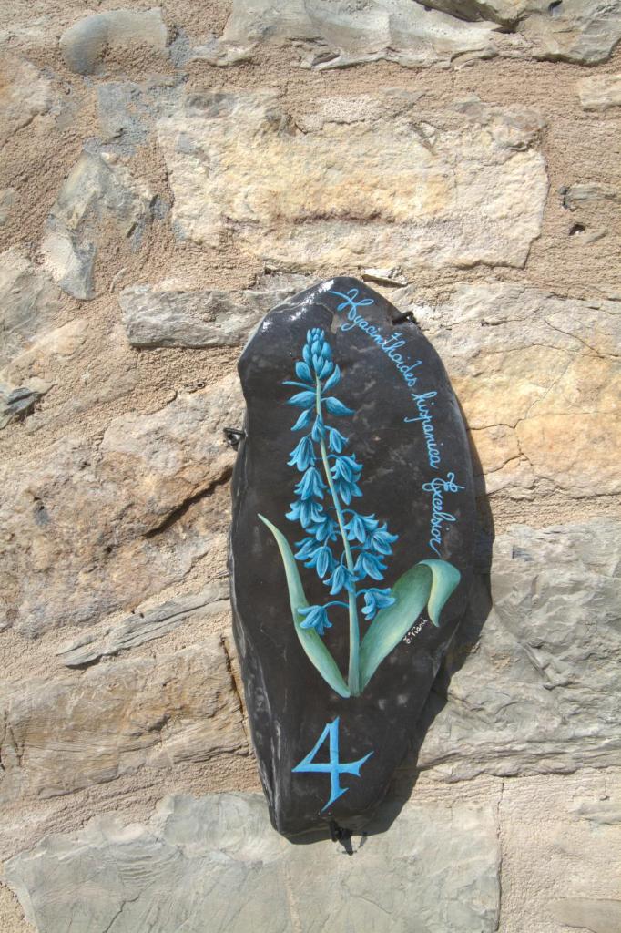 Appartamenti Chiarina photo 4