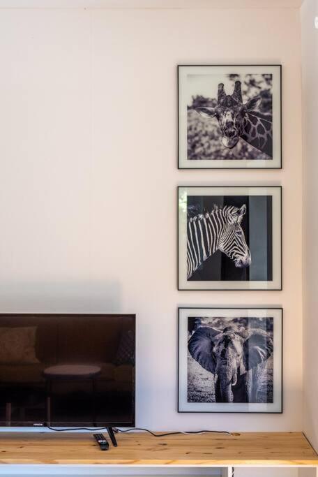 Duplex contemporain dans maison du XVIIème siècle photo 2