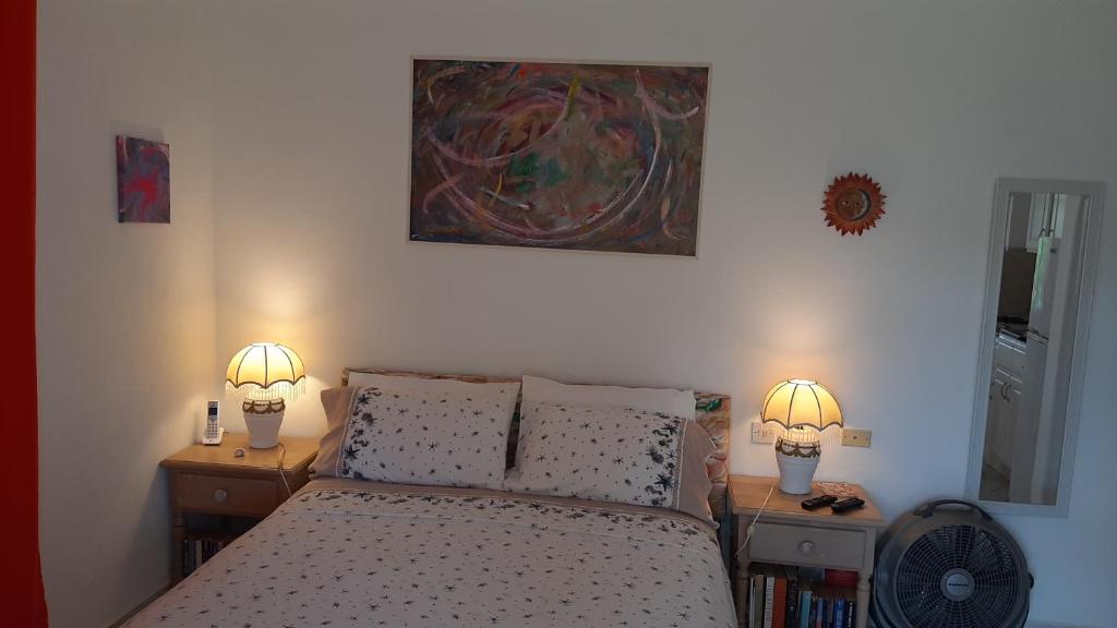 Tropical Gecko Studio - Sweet Jewel Apartments photo 3