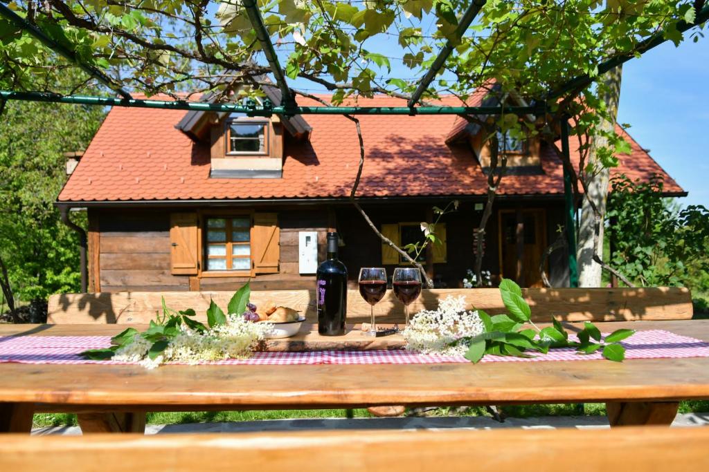Family friendly house with a parking space Sveti Ivan Zelina, Prigorje - 20657 photo 2