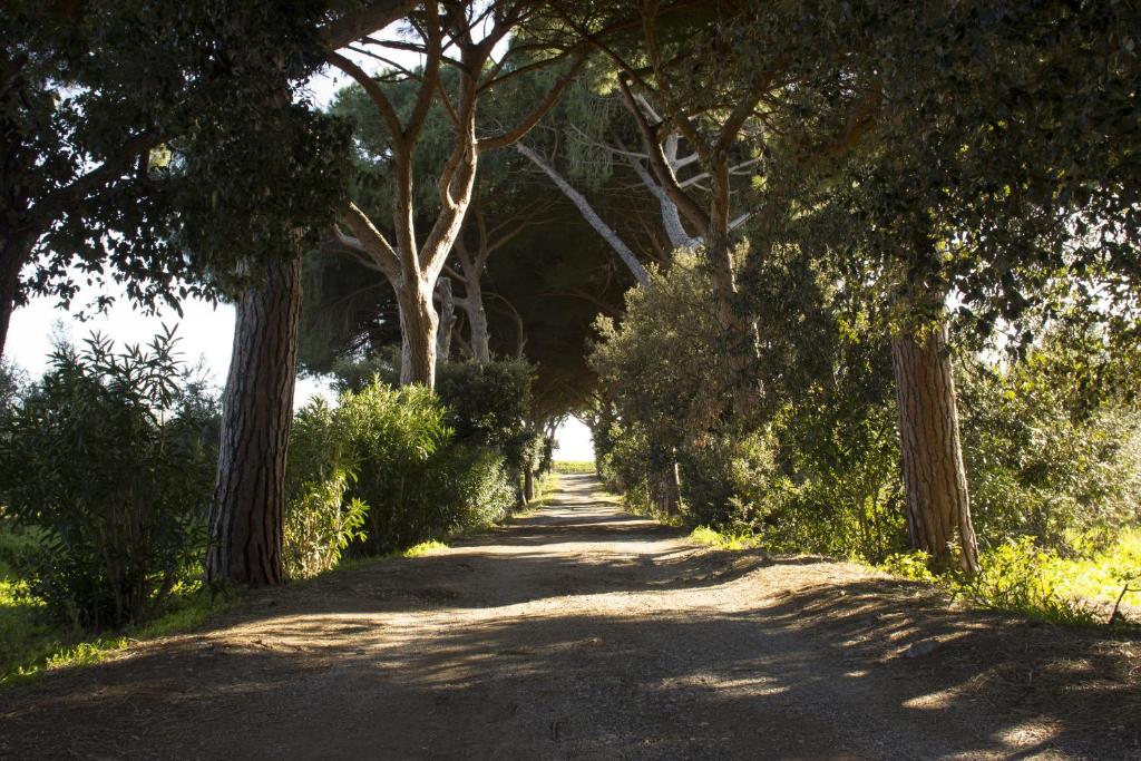Agriturismo Monte Alzato photo 1