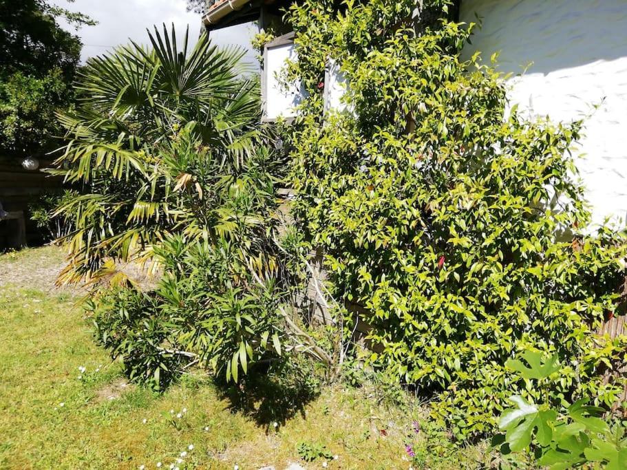 La maison de Bertic photo 3