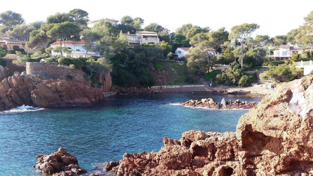 Un petit coin de paradis photo 3
