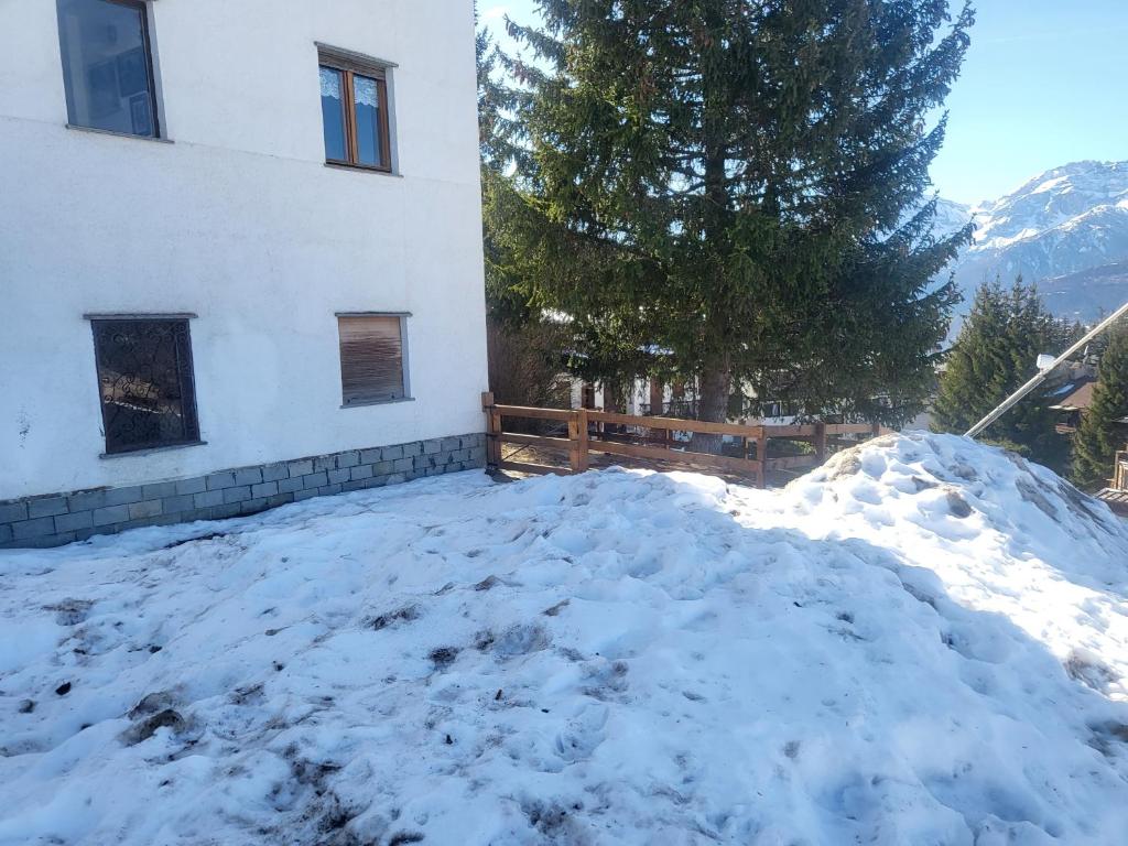 Alloggio "Pineta" sulle piste di clotex photo 3
