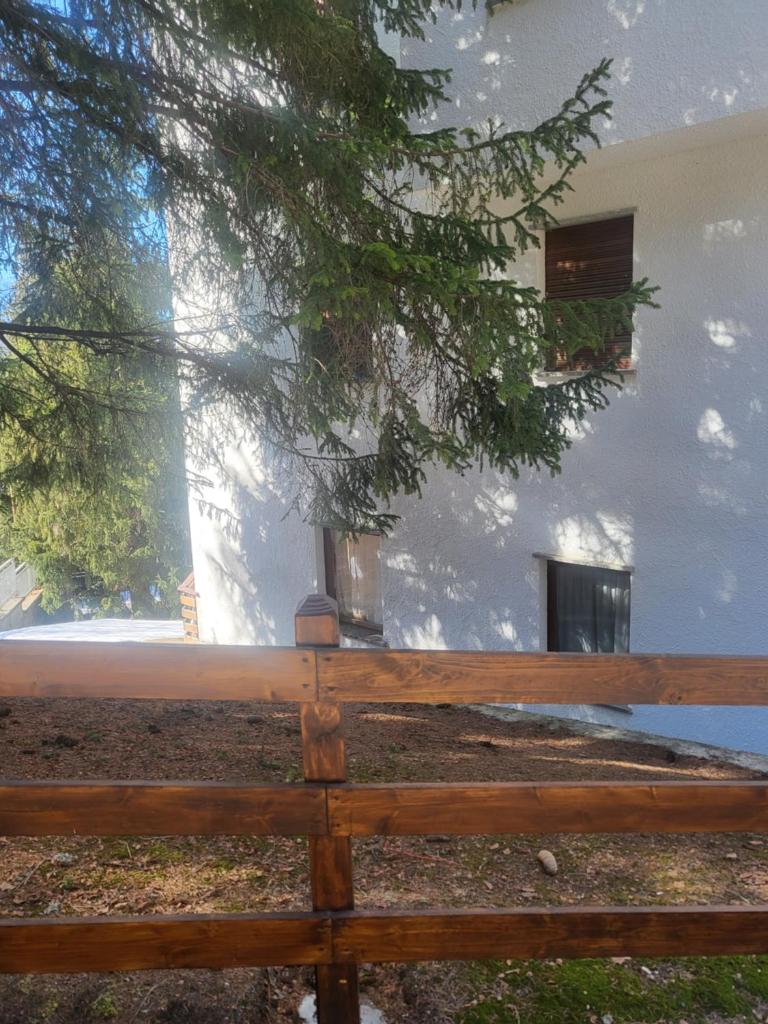 Alloggio "Pineta" sulle piste di clotex photo 2